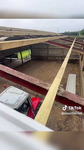 Efficient Shed Repairs with Diggers and Tree Shears