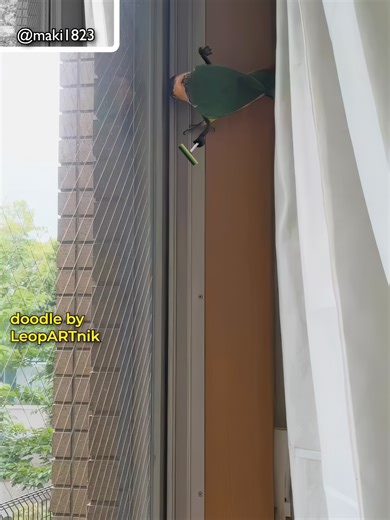 Ultimate Windows Cleaner: Sparkling Results Every Time