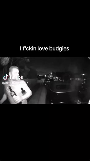 8 Legs Only (@8legsonly)’s videos with original sound - 8 Legs Only