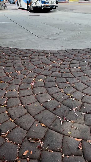 Just learned how to take free bus rides here with Laguna Local. Just call them and tell them where you want to go just in Laguna Beach Area #lagunalocalrides #freerides #highlightseveryone #lagunabeach #orangecounty #summitway #callafreeride #carrides #memories #justhavingfun #havingfunwithit #memorabledays #justchillin #justtakingvideos #lingawlingawlangba #enjoyeverymoment #justhavingfunwithit #justremembering | My Adventures and Whereabouts | Facebook