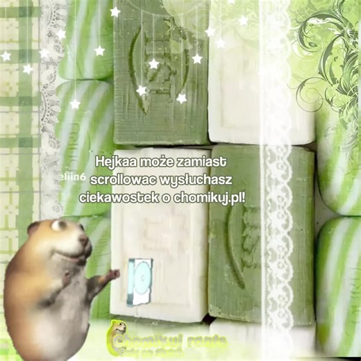 Ciekawostki o Chomikuj.pl i jego historii