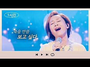 [1시간][1時間繰り返し] 우타고코로 리에(歌心りえ) - 보고싶다(会いたい)
