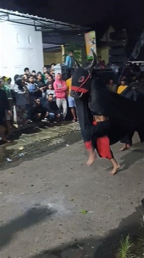 BANTENG SURYO INDEPENDENT - #shorts #seni #budaya #culture #carnaval #sports #trip #subscribe