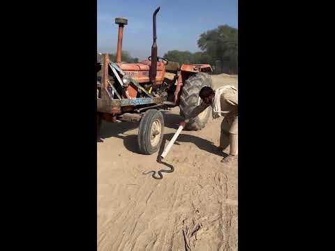 Snake Rescue Live Stream