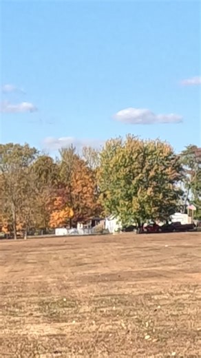 Allegedly they have the same flight numbers?! #discgolfreels #discgolfdad #discgolf #discgolflife #discgolflifestyle #discgolfeveryday #discgolfdaily #dadssupportingdads | The Disc Daddy