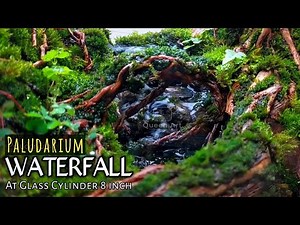 How To Make a Paludarium Waterfall in a glass cylinder
