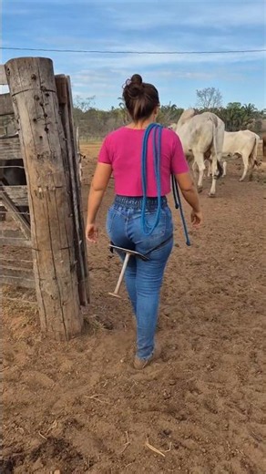 dairy farming farmer #farming #diary #milk #agro #ytshorts #reels #uzbekistan #milking #cow
