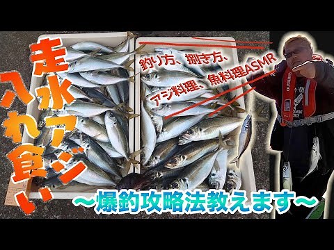 【走水 アジ釣り】アジが爆釣しました。その釣り方を解説します！釣りガールによる簡単なアジの捌き方と、お洒落なアジ料理｜金髪タコおやじが釣って喰らう