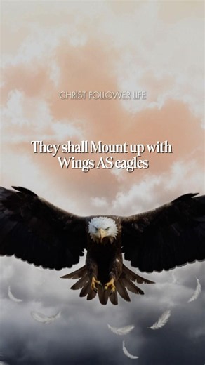 God Will Renew Your Strength Like Eagles ✨ Isaiah 40:31 | Do Not Grow Weary #bible #canvas #quotes