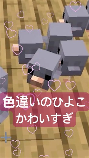 【新アプデ】ひよこと飛びたい。動物の赤ちゃんが新登場！【マイクラsnapshot 2.61】#java版 #統合版 #裏技 #マイクラ