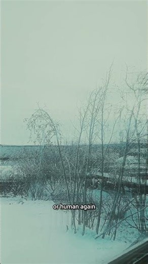 (🌟BSP: Black Shadow Project - Test Voice Audio) #bored #project #anything #monyay #sevenplus