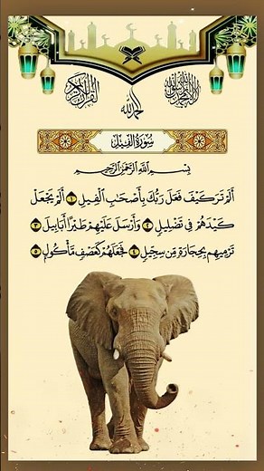 Surah Al-Fil | سورة الفيل | The Elephant – Quran Tilawat & Meaning #surahfil