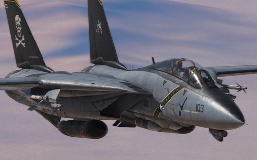 【混剪】F-14 "Tomcat" F-14“雄猫”多用途舰载战斗机 （part -1）