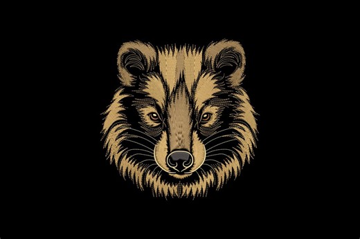 Realistic Raccoon Machine Embroidery Design, Detailed Animal Pattern, Wildlife Art File, Instant Download - Etsy