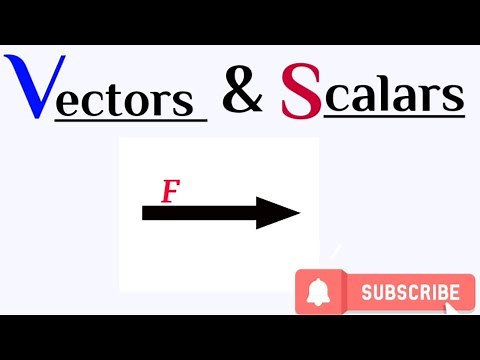 Vectors and Scalars|Grade 10|Physics