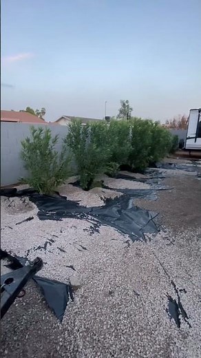 More DIY Backyard Desert Landscaping- will the rock ever end?