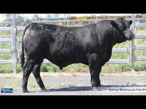 Lot 191 Woonallee V86 (P)