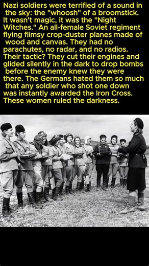 The Witches Who Terrorized the Nazis #ww2