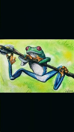 What Makes You Happy | Painting a Red-Eyed Tree Frog Across Thailand & the Philippines