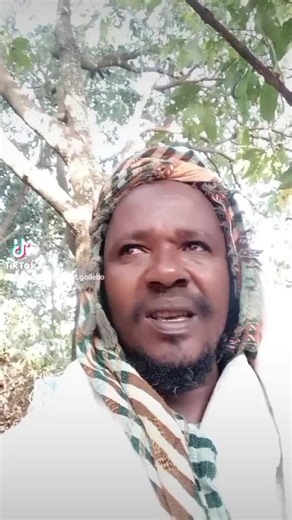 Anjanchi Tamirat Godebo (@anarchist.tamirat.godebo)’s videos with original sound - Anjanchi Tamirat Godebo