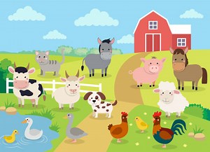 Life Skills Grade 2 Farm Animals Lessons for CAPS - Modern Classroom