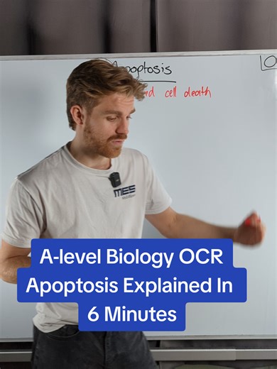 A-level Biology OCR - Apoptosis Explained In 6 Minutes #joedoesbiology #myedspace #biology #alevels #myedspacebiology