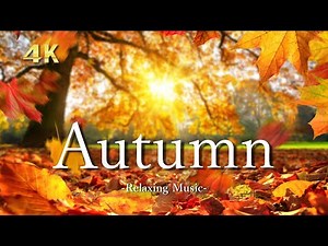 【Autumn 4K 】- Beautiful autumn leaves in the forest, Relaxation Film With Calming Piano Music ｜紅葉