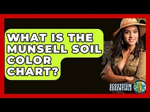 What Is The Munsell Soil Color Chart? - Ecosystem Essentials