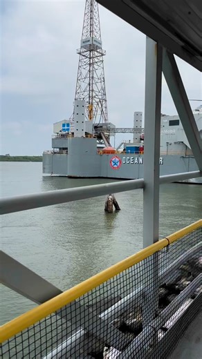 Here’s a unique Galveston Island experience! Bring your family to the Ocean Star Offshore Drilling Rig & Museum to learn all about the oil and gas industry aboard an actual oil rig. 🛢️🗼🌊 📍2002 Wharf Rd #LoveGalveston | Galveston Island
