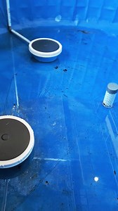 How to install aeration so that the diffuser does not move when the aerator machine is turned on in tilapia cultivation using the biofloc system #fyp #fish #fishing #fishfarm #education #motivation #biofloc #tilapia #busines #cultivation #sucses #news #information #usatoday | Tyo Alfian