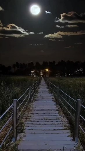 90s Bollywood Sad Song Status for Your Feels