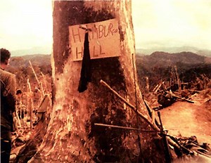 Public and Political Reaction to the Battle of Hamburger Hill