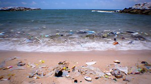 Hoe komen we af van het plastic in de zee? | Schooltv