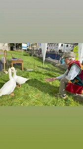 1.5K views | Tavistock Goose Fair is rocking now with the streets crowded and the fun fair turning with screaming youngsters on board. Back again after avian flu restrictions are the famed geese. Ray Stenning is pictured helping Rotary Club members raise charity funds by asking visitors to guess the birds’ combined weight | Tavistock Times | Facebook