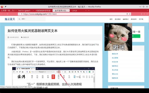 火狐浏览器阅读 espeak-ng & Read Aloud 对比