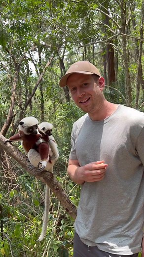 Exploring Lemur Diversity in Madagascar's Wildlife