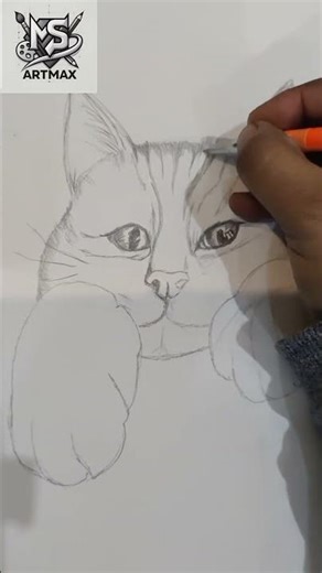 Easy Cat Drawing 🐱 Step by Step for Beginners