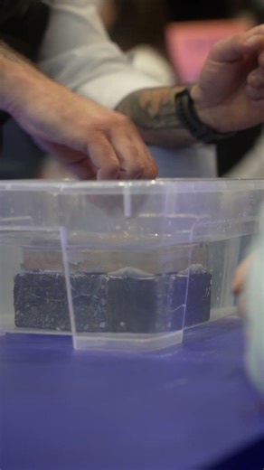 CT1 Demo Series: Part 3 - The Finale