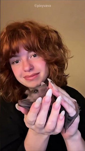 Girl Trained Her Pet Bat😍