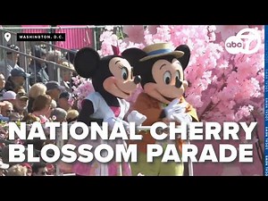 Highlights from the 2025 National Cherry Blossom Festival in Washington, DC