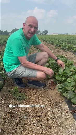 Wisdom Wednesday: Norfolk County’s Beautiful Fall Harvest #irrigation #farming#agriculture