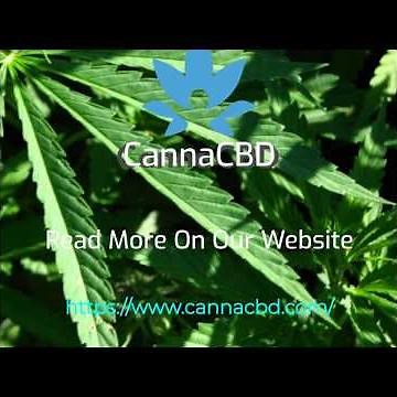 CBD Extraction Methods