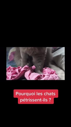 L’instant chat sur TikTok
