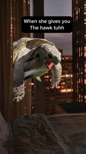 Hawk tuhh meme #Meme #MemeCut