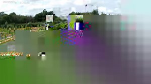 Here's a look at how this amazing pumpkin mosaic at Sunnyfields Farm in the UK was assembled 🎃 | Guinness World Records