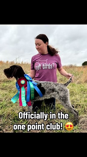 Newt's Journey to Field Champion Success