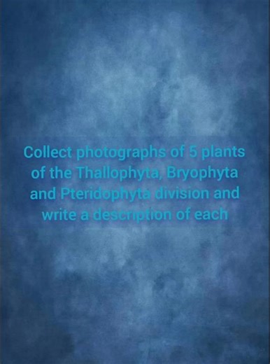 #collect photographs of 5 plants of the Thallophyta Bryophyta and Pteridophyta #