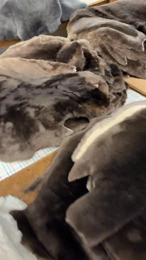 2.4K reactions · 42 shares | SHEARED BEAVER FUR IS SOFT AND SILKY TO...