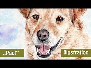Illustration - Hund in Aquarell und Fineliner malen