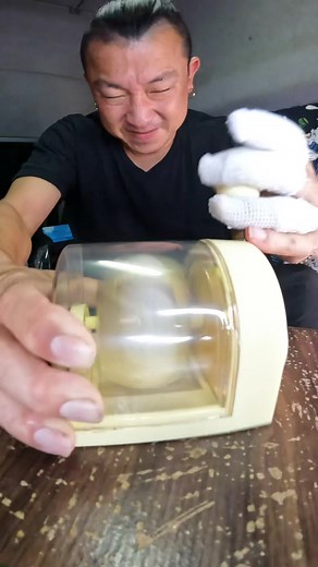 簡単なプリンの作り方とモコちゃんの食事